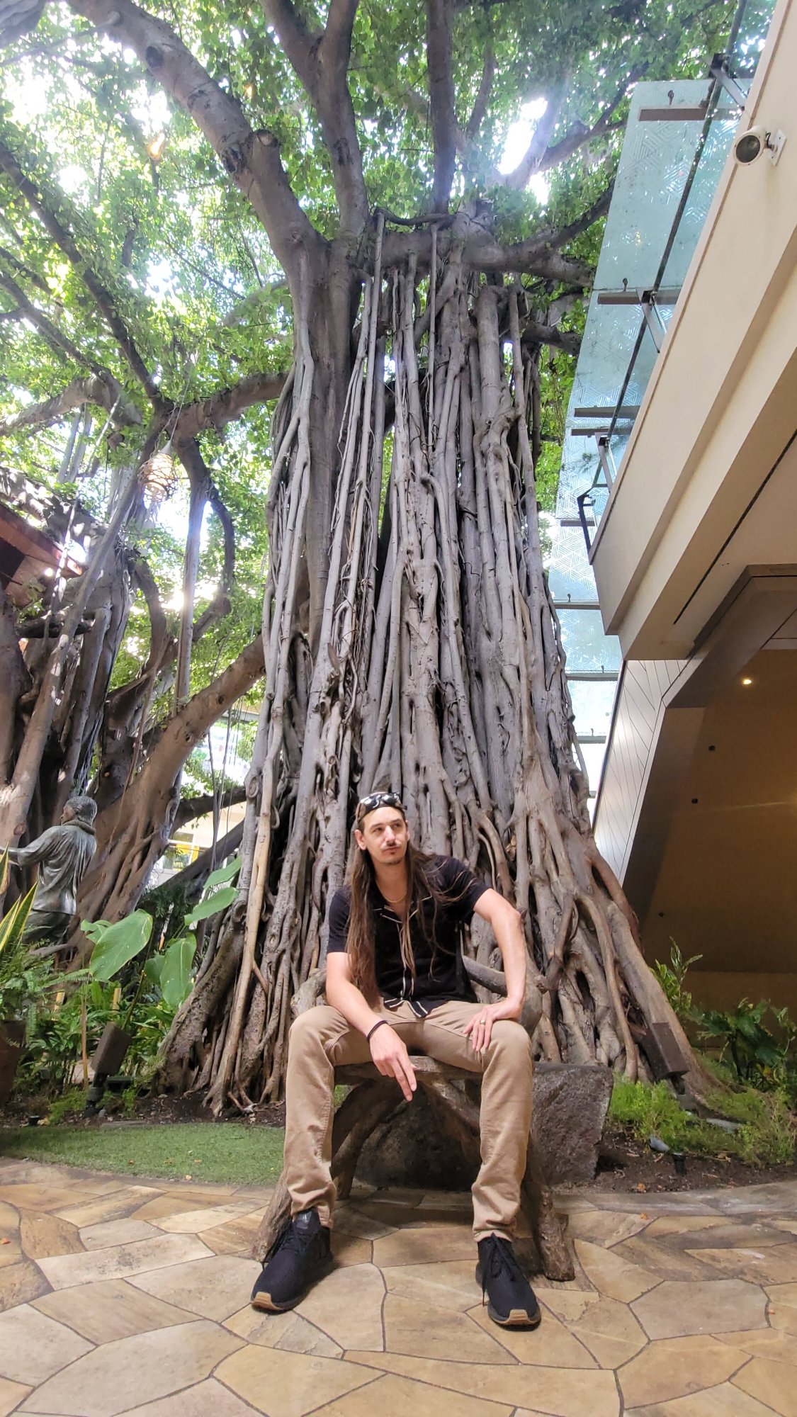 Banyan tree