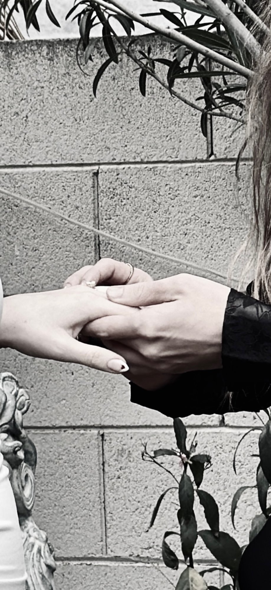 Our hands, our promise